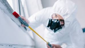 Best Pest Exclusion Services  in Clarkston Heights Vineland, WA